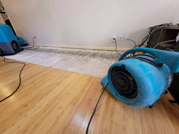 Professional Water Removal technician working in Glen Oaks, NY